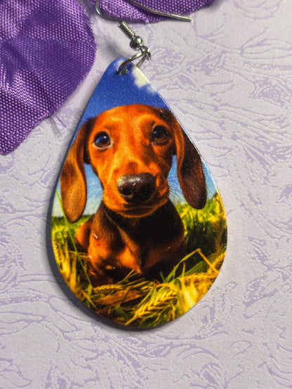 Dachshund Earrings Dog Lover Jewelry Laser Cut Acrylic Rhinestone Doxie Earrings Hypoallergenic Hooks Gift for Dachshund Owners